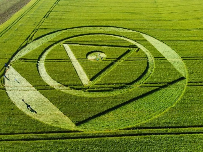 Marcas Misteriosas Surgem Em Planta O Em Santa Catarina E Intrigam