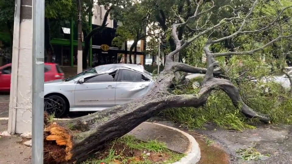 Chuva Forte Em SP Causa Alagamentos E Queda De Energia CLM Brasil