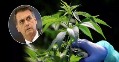 Bolsonaro: ‘Se falar cloroquina é crime, falar em maconha é legal’ Bolsonaro: ‘Se falar cloroquina é crime, falar em maconha é legal’