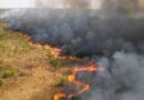 PF investiga suspeitas de incêndios ilegais em regiões do Brasil